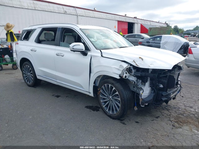 Hyundai Palisade Calligraphy 2025 KM8R7DGE9SU952319 главное изображение