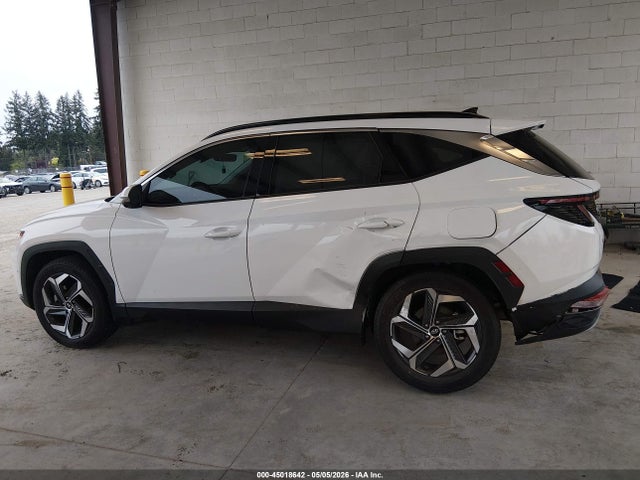 Hyundai Tucson Limited 2023 5NMJECAE7PH259869 Image 14
