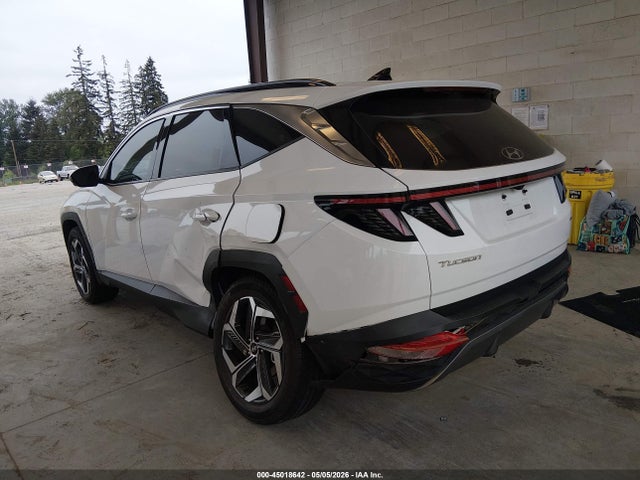 Hyundai Tucson Limited 2023 5NMJECAE7PH259869 Image 3