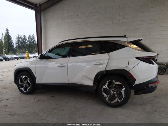 Hyundai Tucson Limited 2023 5NMJECAE7PH259869 Image 6