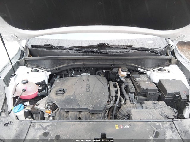 KIA SORENTO S 2024 5XYRLDJC1RG283191 Image 10