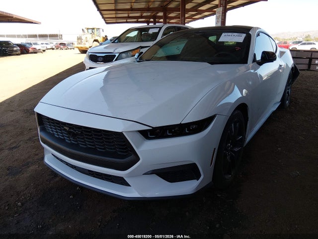 Продаж на аукціоні авто 2024 Ford Mustang Ecoboost Fastback, vin: 1FA6P8TH7R5131793, номер лоту: 45019200