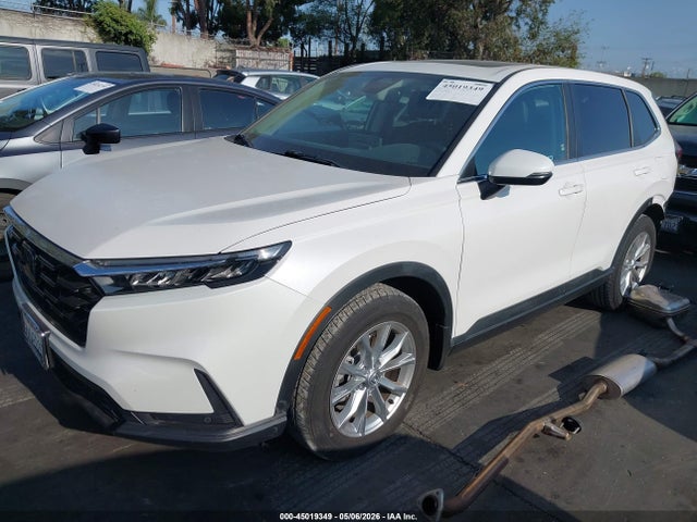 Honda Cr-v Ex-l Awd 2025 2HKRS4H70SH408918 Image 2