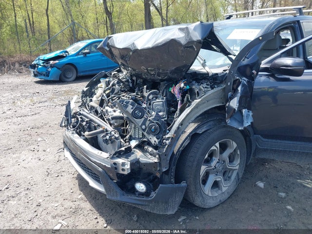 Aukcja sprzedaży 2019 Honda Cr-v Ex, vin: 2HKRW2H57KH664187, numer aukcji: 45019392