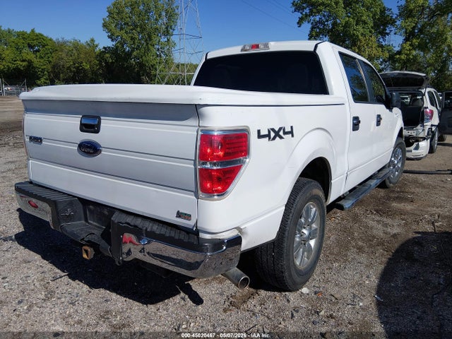 Aukcja sprzedaży 2010 Ford F-150 Fx4/harley-davidson/king Ranch/lariat/platinum/xl/xlt, vin: 1FTFW1EV2AFD12077, numer aukcji: 45020467