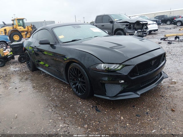 2019 1FA6P8CF1K5175051 main image
