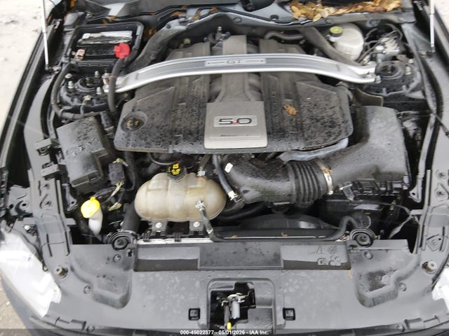 Ford Mustang Gt Premium 2019 1FA6P8CF1K5175051 Image 10