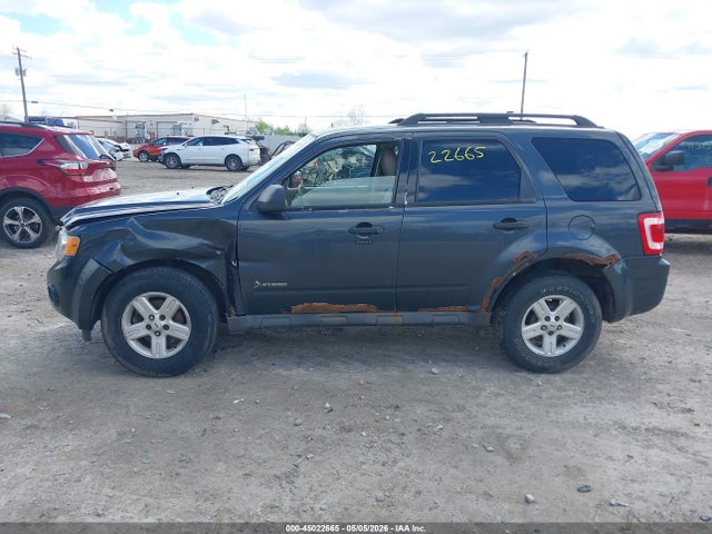 Aukcja sprzedaży 2010 Ford Escape Hybrid Limited, vin: 1FMCU5K34AKC89570, numer aukcji: 45022665
