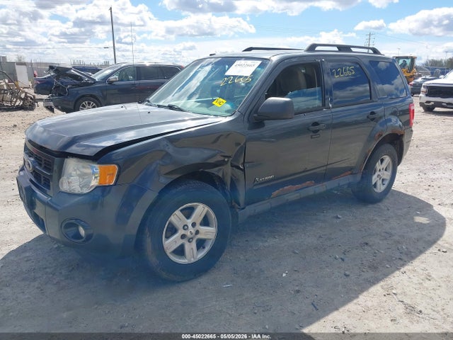 Aukcja sprzedaży 2010 Ford Escape Hybrid Limited, vin: 1FMCU5K34AKC89570, numer aukcji: 45022665