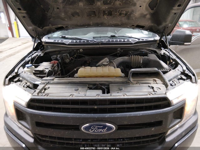 1FTEW1E51KKD77376 Ford F-150 Xl