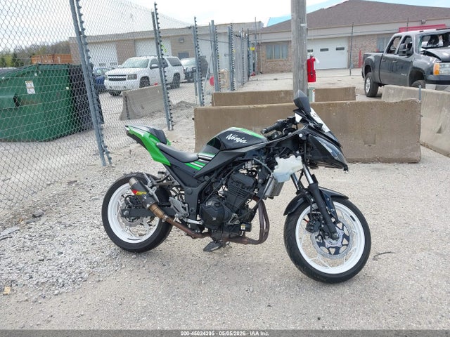 Kawasaki Ex300 B 2016 JKAEX8B18GDA28425 Image 12