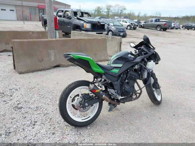Kawasaki Ex300 B 2016 JKAEX8B18GDA28425 Image 4