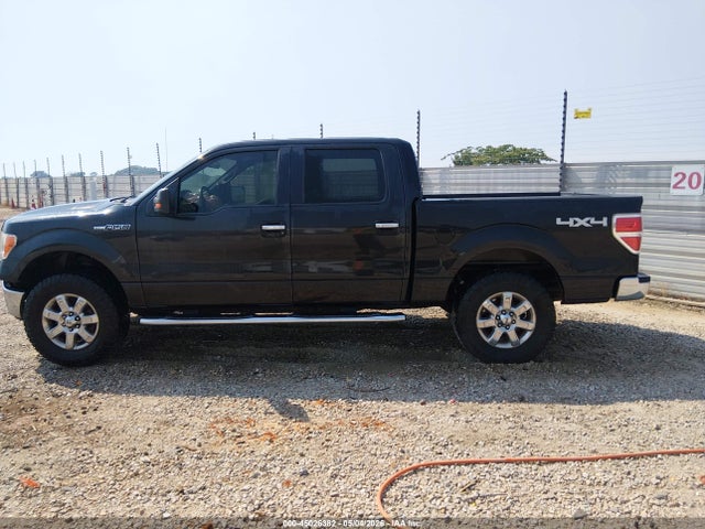 45026382 :رقم المزاد ، 1FTFW1EF8EKG29903 vin ، 2014 Ford F-150 Xlt مزاد بيع