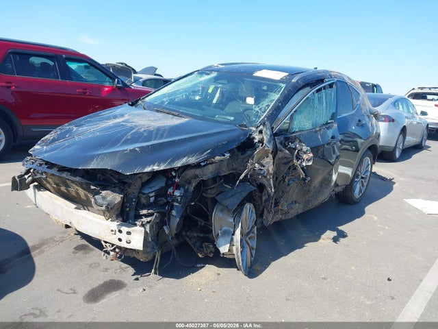2025 Lexus Nx 350h Luxury მანქანა იყიდება აუქციონზე, vin: JTJHKCEZ5S2066392, აუქციონის ნომერი: 45027387