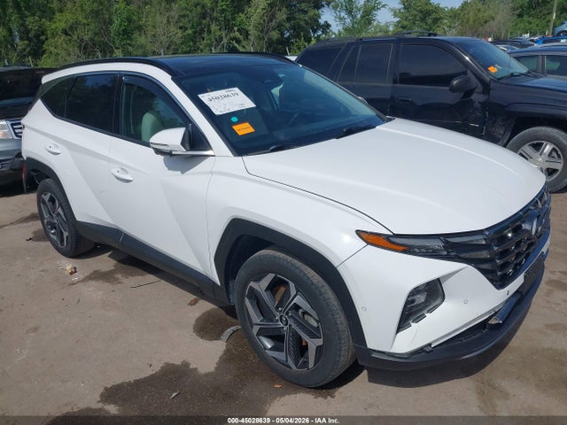 Продажа на аукционе авто 2024 Hyundai Tucson Limited, vin: 5NMJECDE1RH304741, номер лота: 45028639