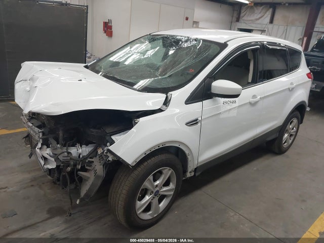 Ford ESCAPE SE 2014 1FMCU0GX0EUA19079 Image 2