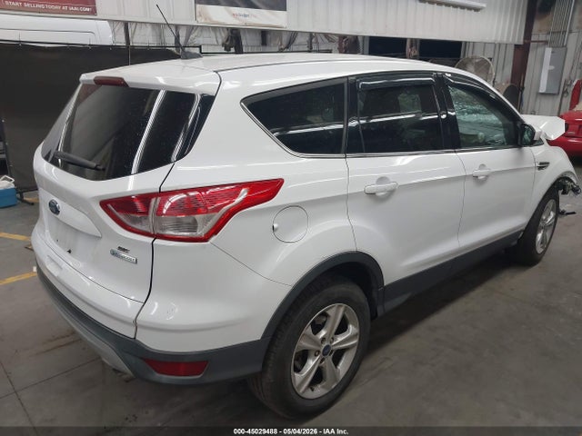 Ford ESCAPE SE 2014 1FMCU0GX0EUA19079 Image 4