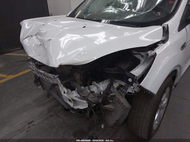 Ford ESCAPE SE 2014 1FMCU0GX0EUA19079 Image 6