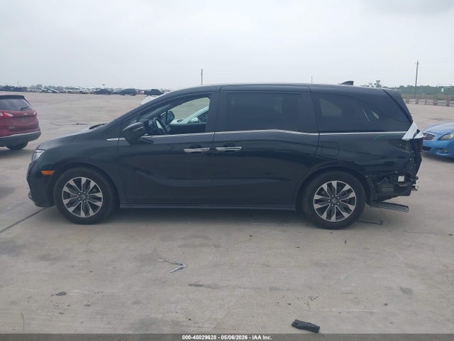 Honda Odyssey Ex-l 2024 5FNRL6H65RB049056 Image 14