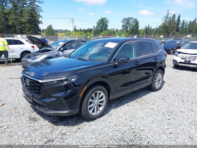 Honda Cr-v Ex-l Awd 2024 2HKRS4H75RH414675 Image 2