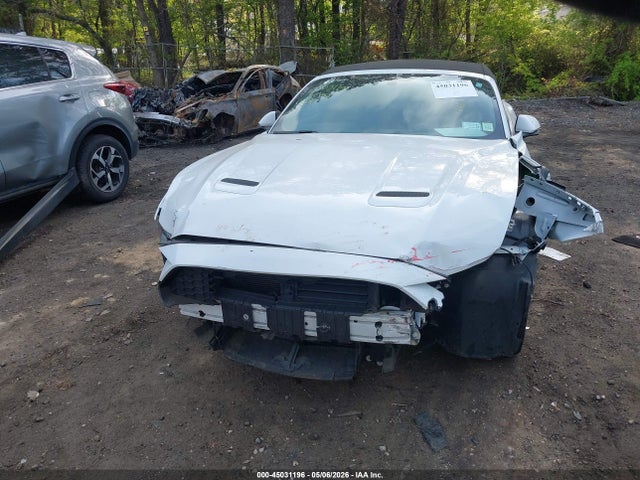 Auction sale of the 2019 Ford Mustang Ecoboost Premium, vin: 1FATP8UHXK5149003, lot number: 45031196