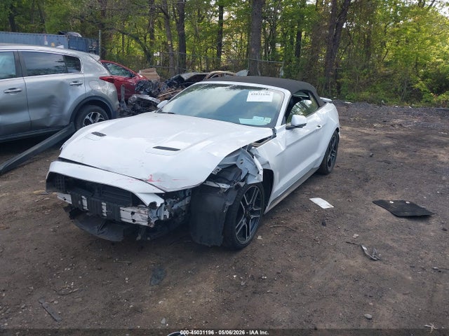 Auction sale of the 2019 Ford Mustang Ecoboost Premium, vin: 1FATP8UHXK5149003, lot number: 45031196