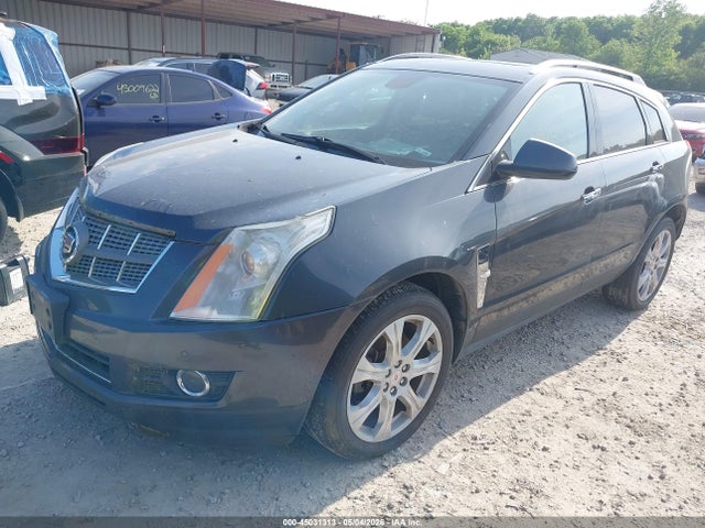 Продаж на аукціоні авто 2010 Cadillac Srx Premium Collection, vin: 3GYFNCEY1AS560125, номер лоту: 45031313