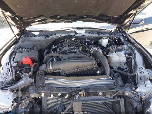 Продажа на аукционе авто 2024 Ford Mustang Ecoboost Fastback, vin: 1FA6P8THXR5126121, номер лота: 45031583