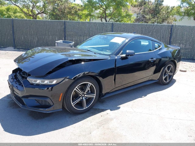 Продажа на аукционе авто 2024 Ford Mustang Ecoboost Fastback, vin: 1FA6P8THXR5126121, номер лота: 45031583