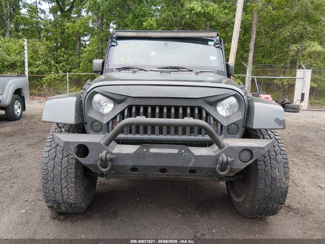 45031821 :رقم المزاد ، 1J4AA5D15AL145787 vin ، 2010 Jeep Wrangler Sahara مزاد بيع