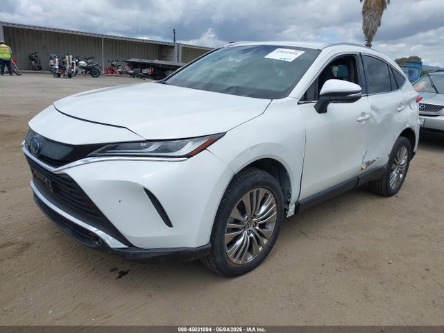JTEAAAAH1PJ151408 Toyota Venza Xle