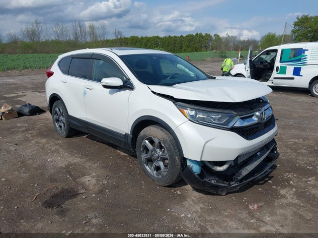 Auction sale of the 2019 Honda Cr-v Ex, vin: 2HKRW2H53KH652229, lot number: 45032931