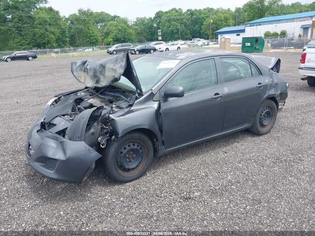 Продажа на аукционе авто 2010 Toyota Corolla Le, vin: 1NXBU4EE7AZ303923, номер лота: 45033331