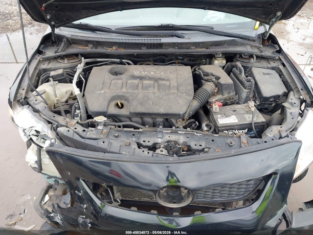 Продажа на аукционе авто 2009 Toyota Corolla Le, vin: 2T1BU40E09C142819, номер лота: 45034072