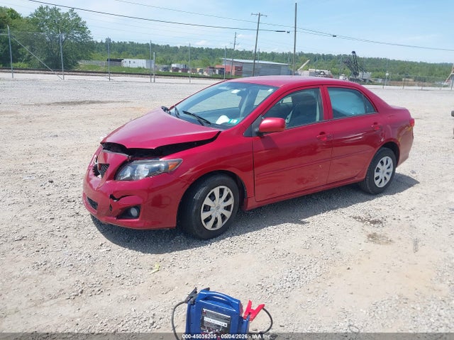Продажа на аукционе авто 2010 Toyota Corolla Le, vin: 1NXBU4EE5AZ184706, номер лота: 45036205