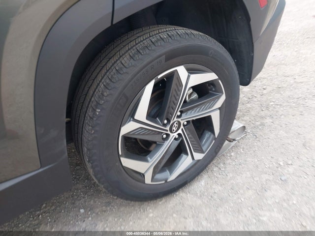 Hyundai Tucson Limited 2023 5NMJECAE9PH257802 Image 12