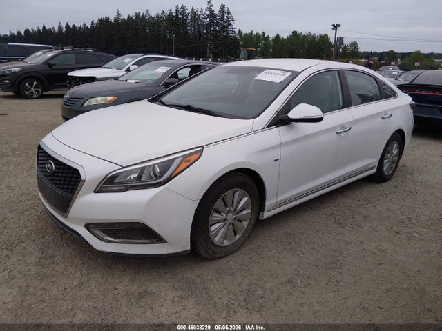 KMHE24L13GA009240 Hyundai Sonata Hybrid Se