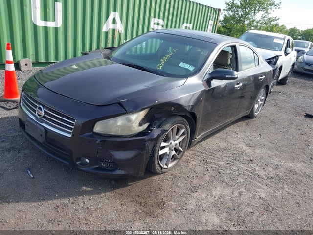 Продажа на аукционе авто 2010 Nissan Maxima 3.5 Sv, vin: 1N4AA5AP3AC805149, номер лота: 45038307