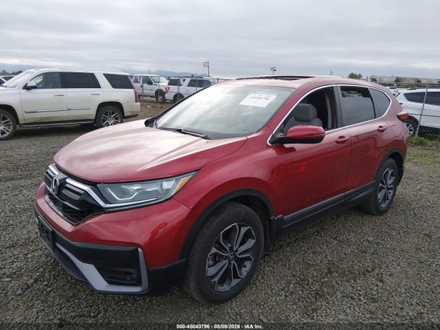 2HKRW2H86MH669104 Honda Cr-v Awd Ex-l