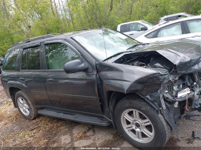 Продажа на аукционе авто 2007 Chevrolet Trailblazer Ls, vin: 1GNDS13S072248334, номер лота: 45040985