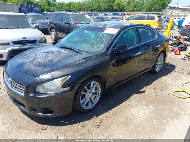 2010 Nissan Maxima 3.5 S მანქანა იყიდება აუქციონზე, vin: 1N4AA5AP4AC849791, აუქციონის ნომერი: 45042050