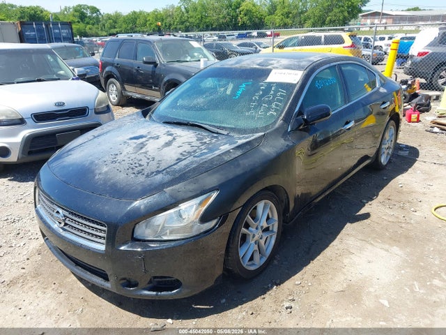 2010 Nissan Maxima 3.5 S მანქანა იყიდება აუქციონზე, vin: 1N4AA5AP4AC849791, აუქციონის ნომერი: 45042050