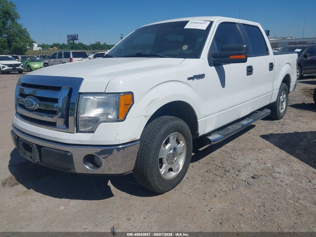 Продажа на аукционе авто 2009 Ford F-150 King Ranch/lariat/platinum/xl/xlt, vin: 1FTPW12V19FA24927, номер лота: 45042657