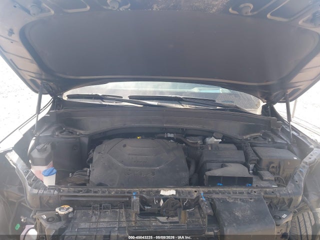 5XYP5DGC2RG562240 KIA Telluride Sx Prestige X-line