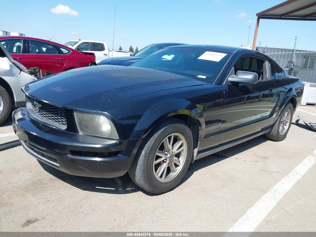 2005 Ford Mustang V6 Deluxe/v6 Premium მანქანა იყიდება აუქციონზე, vin: 1ZVFT80N155168555, აუქციონის ნომერი: 45043376