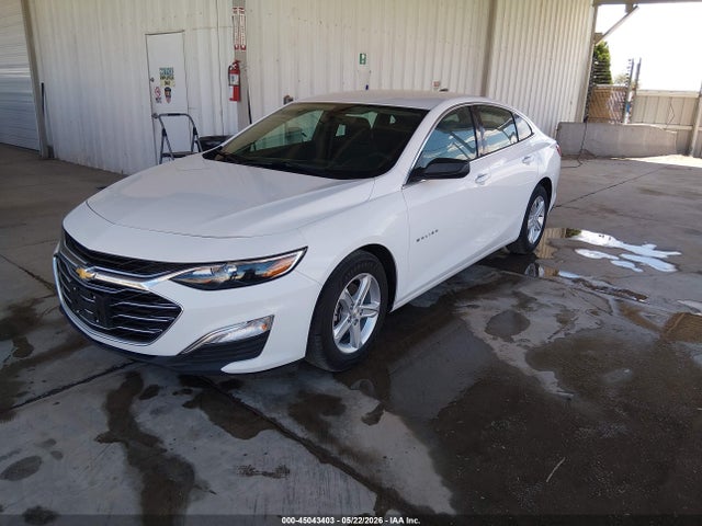 Продаж на аукціоні авто 2019 Chevrolet Malibu 1fl, vin: 1G1ZC5ST5KF208015, номер лоту: 45043403