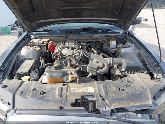 2013 Ford Mustang V6 მანქანა იყიდება აუქციონზე, vin: 1ZVBP8AM7D5226708, აუქციონის ნომერი: 45043818
