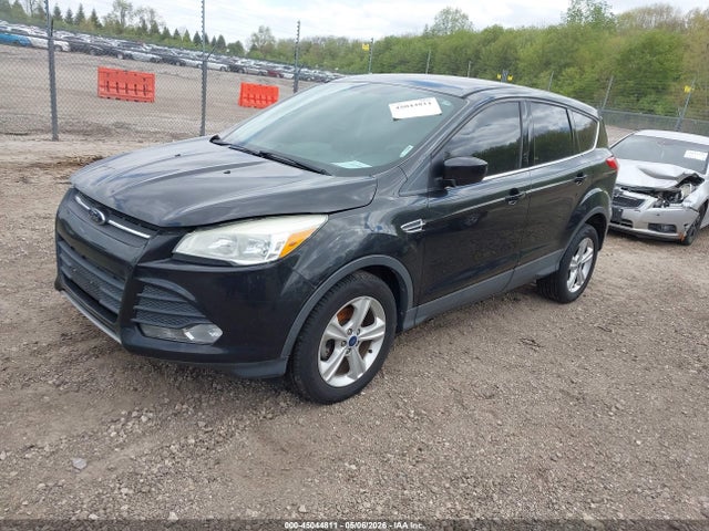 Продажа на аукционе авто 2014 Ford Escape Se, vin: 1FMCU0GXXEUD44290, номер лота: 45044811