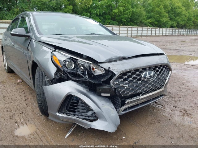 Aukcja sprzedaży 2019 Hyundai Sonata Sel, vin: 5NPE34AFXKH776097, numer aukcji: 45045579