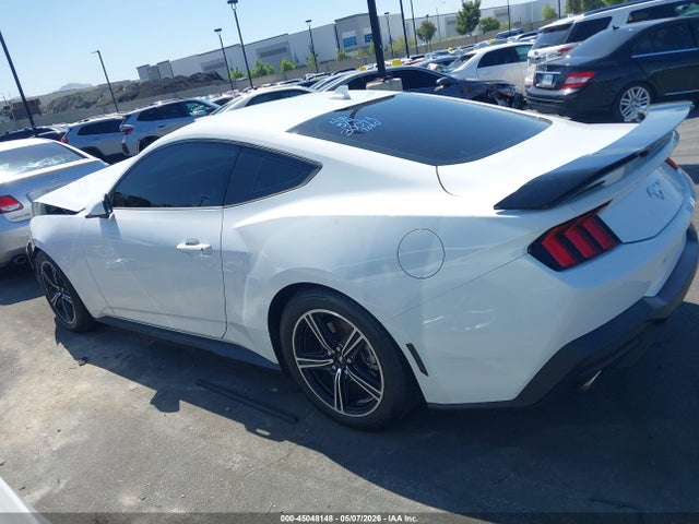 Ford Mustang Ecoboost Fastback 2024 1FA6P8TH1R5107280 Image 14
